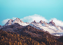 鲸鱼直播体育-犀利变相!多森姆社媒转发自己大学赛场视频